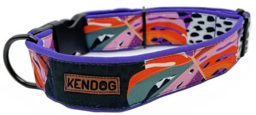 KENDOG Botanica Obroża M 3cm 41-66cm