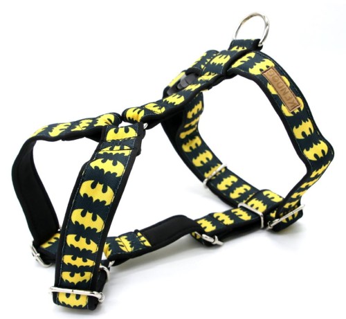 KENDOG BatDog Szelki Guard S 2cm 35-50cm