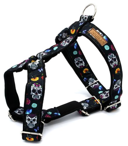 KENDOG Czaszki Szelki Guard S 2cm 35-50cm