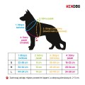 KENDOG Czaszki Szelki Guard S 2cm 35-50cm