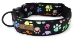 KENDOG Kolorowe Łapki Obroża M 5cm 41-66cm