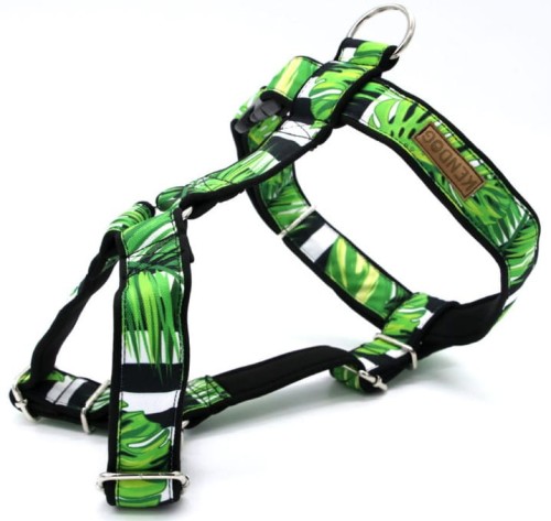 KENDOG Liście Monstera Szelki Guard S 2cm 35-50cm