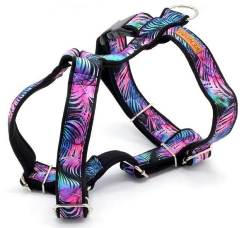 KENDOG Magia Koloru Szelki Guard M 3cm 45-65cm