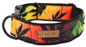 KENDOG Reggae Obroża M 3cm 41-66cm