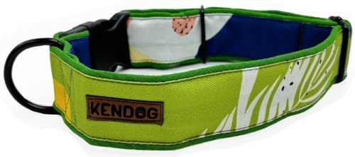 KENDOG Spring Obroża M 4cm 41-66cm