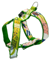 KENDOG Spring Szelki Guard S 2cm 35-50cm