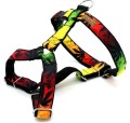 KENDOG Reggae Szelki Guard S 2cm 35-50cm