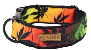 KENDOG Reggae Obroża M 4cm 41-66 cm