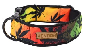 KENDOG Reggae Obroża M 5cm 41-66cm