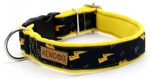 KENDOG Danger Obroża M 4cm 41-66cm