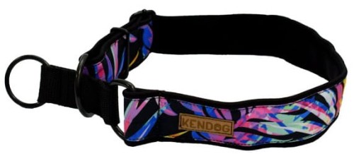 KENDOG Magia Koloru Półzacisk Obroża M 3cm 41-62cm
