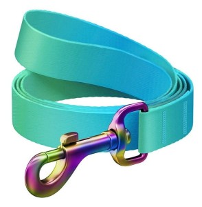 WAUDOG Smycz NylonNiebieska Gradient S 15mm 122cm