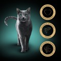 Sheba Tacka Teryna Classics Łosoś 22x85g