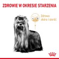 Royal Canin Yorkshire Ageing 8+ 1,5kg