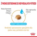 Royal Canin Yorkshire Ageing 8+ 1,5kg