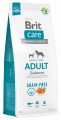 Brit Care GF Adult Salmon 12kg