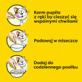 DREAMIES Creamy Przysmak dla kota Kocimięta Ser 12x10g