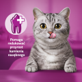 Whiskas Przysmak DentaBites Kurczak 40g