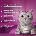Whiskas Przysmak DentaBites Kurczak 40g