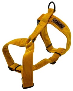 KENDOG Velvet Yellow Szelki Guard M 2,5cm 45-65cm