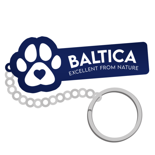 brelok BALTICA.jpg