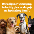 PEDIGREE Markies 500g