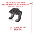 Royal Canin Ageing 11+ Sterilised 4kg