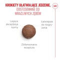 Royal Canin Ageing 11+ 4kg