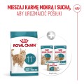 Royal Canin Ageing 11+ 4kg