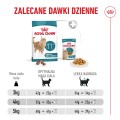 Royal Canin Ageing 11+ 4kg