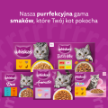 Whiskas Saszetka Aromatyczna Mieszanka 40x85g