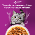 Whiskas Saszetka Aromatyczna Mieszanka 40x85g