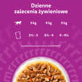 Whiskas Saszetka Aromatyczna Mieszanka 40x85g