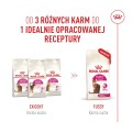 Royal Canin Fussy Exigent 10kg