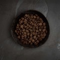 Canagan Grass-Fed Lamb All Breeds 2kg