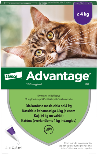 ELANCO Advantage pipeta kot duży 4x0.8ml