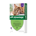 ELANCO Advantage pipeta kot duży 4x0.8ml