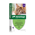 ELANCO Advantage pipeta kot duży 4x0.8ml