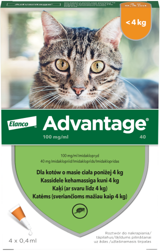 ELANCO Advantage pipeta kot mały 4x0.4ml