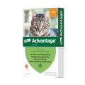 ELANCO Advantage pipeta kot mały 4x0.4ml