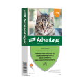 ELANCO Advantage pipeta kot mały 4x0.4ml