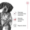 Royal Canin Medium Adult karma mokra pasztet 410g