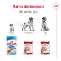 Royal Canin Medium Adult karma mokra pasztet 410g
