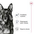Royal Canin Maxi Adult karma mokra pasztet 410g