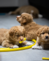 FIBOO Fiboone Puppy 9cm Żółty
