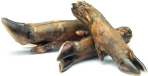 Petmex  Racica Dzika 1szt