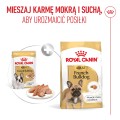 Royal Canin BHN French Bulldog Adult pasztet 12x85g