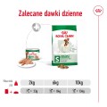 Royal Canin Mini Adult karma mokra pasztet 12x195g