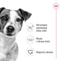 Royal Canin Mini Adult karma mokra pasztet 12x195g