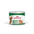 Royal Canin Mini Adult karma mokra pasztet 12x195g